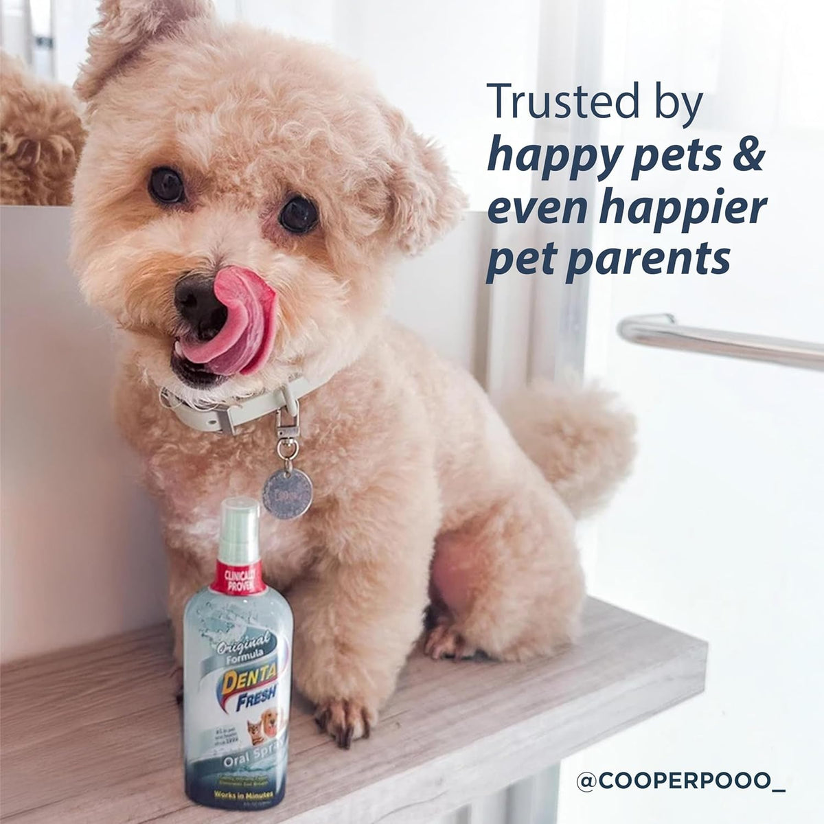 Dental Fresh Oral Spray for Dogs and Cats, Eliminates Bad Breath and Protects Their Teeth & Gums, 4