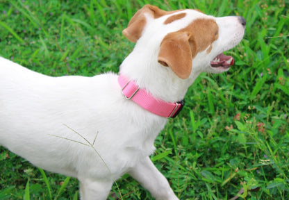 Mikivery Nylon Dog Collar with Quick Release Buckle Soft Adjustable Sturdy for Small Medium Large