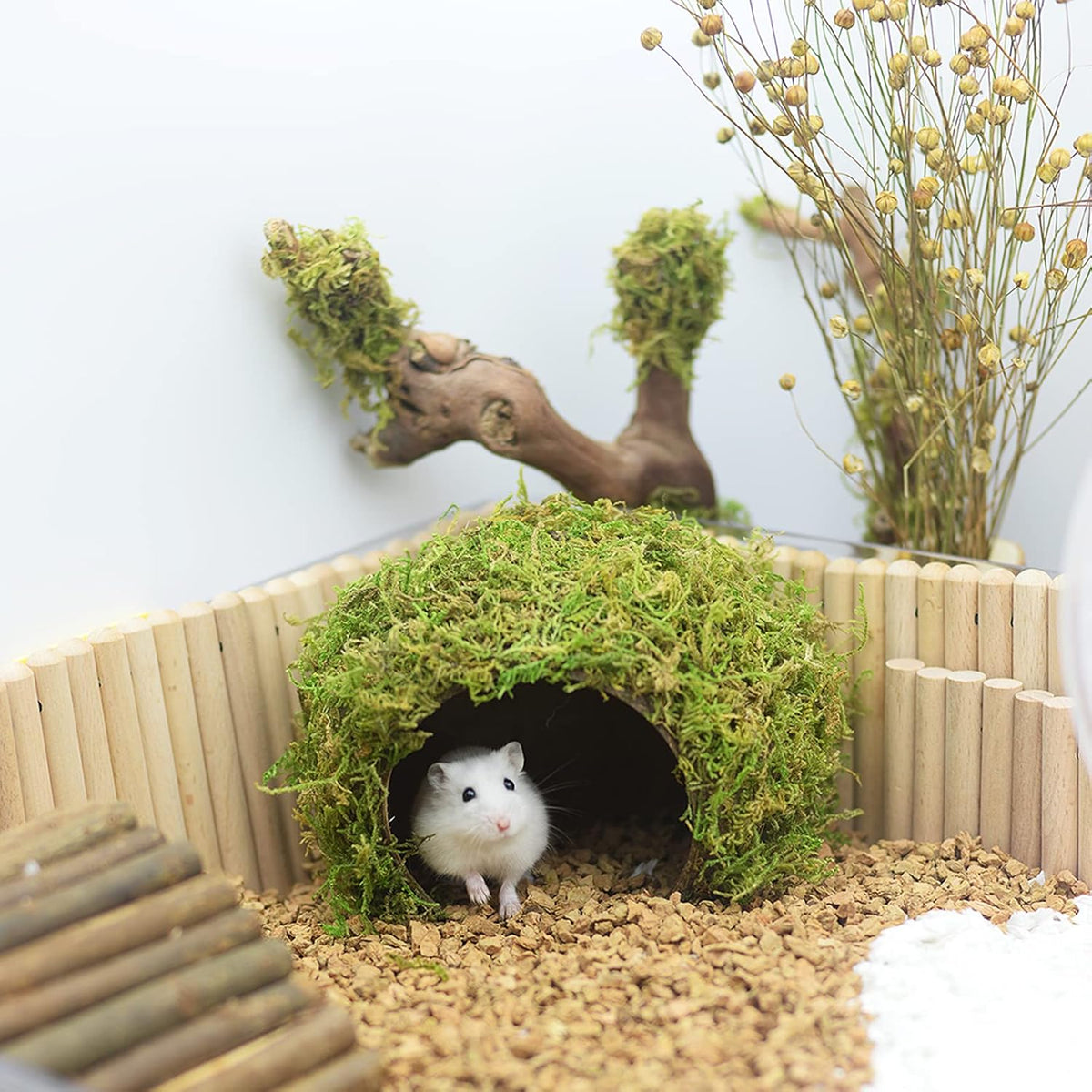 Hamster Hideaway/Hideout,Mossy Cave Hide,Hamster House/Hides,Hamster Cage Accessories for Gguinea