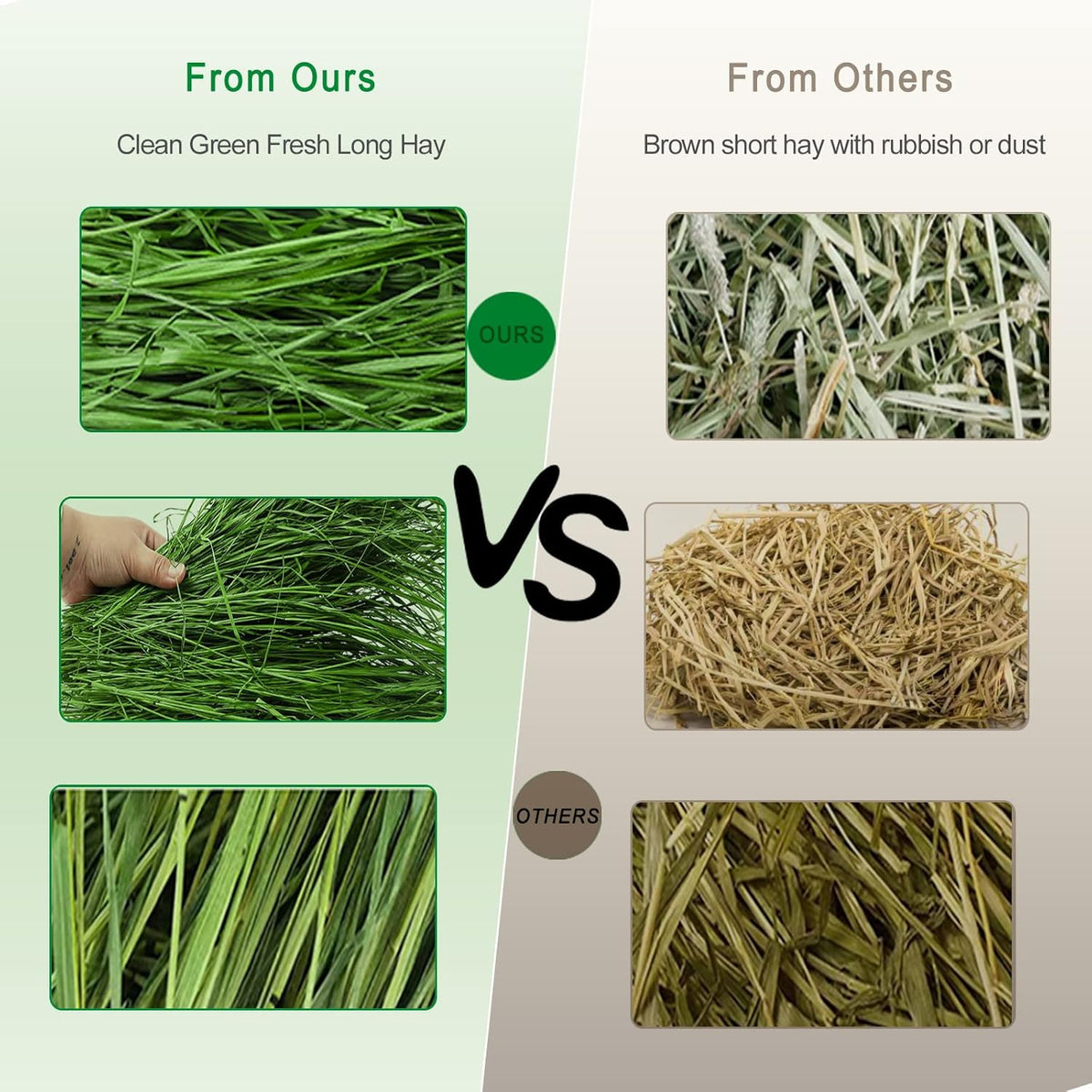 Timothy Hay 1.1LB - Dust Free Natural Green Fresh Food Hay for Rabbits Tortoise Guinea Pig