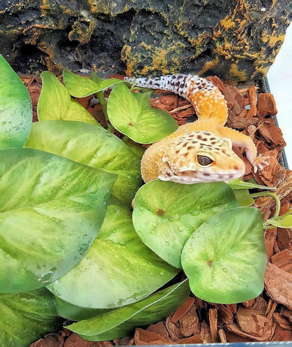 Reptile Plants for Terrarium Decor, Amphibian Habitat Decor, Snake Tank Accessories, Artificial