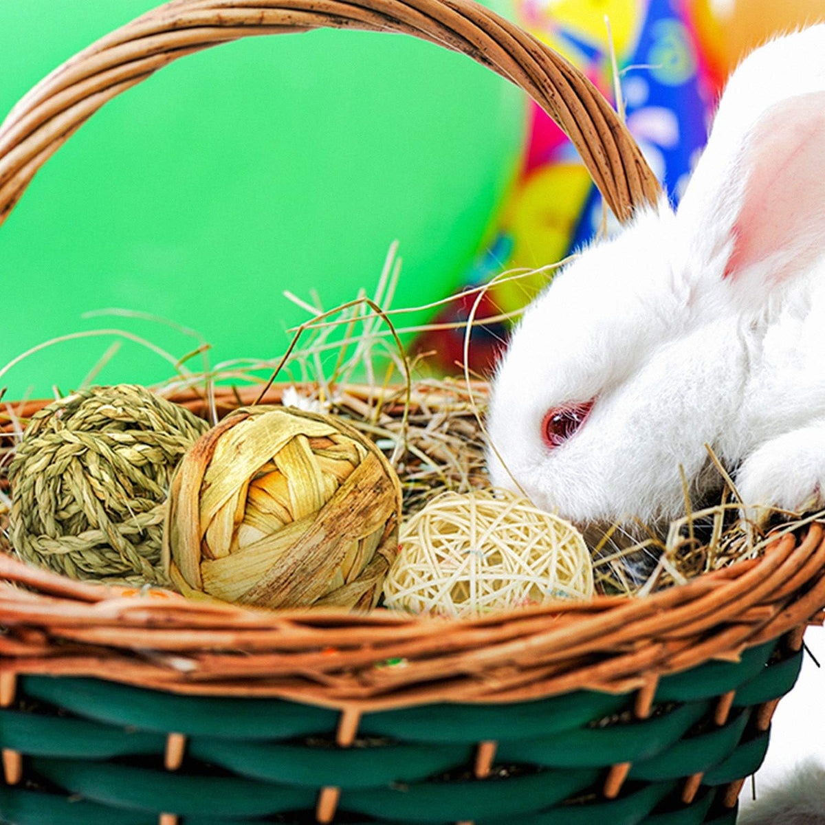 9 Pcs Small Animals Play Balls Rolling Activity Chew Toys Gnawing Treats for Rabbits Guinea Pigs