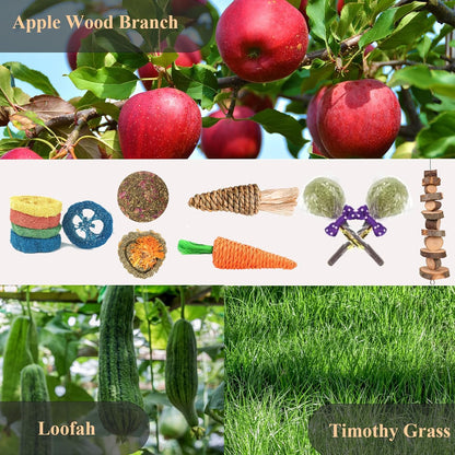 Grddaef 18 PCS Bunny Toys, Rabbit Toys Guinea Pig Toy Natural Apple Wood Grass Timothy Sticks Chew