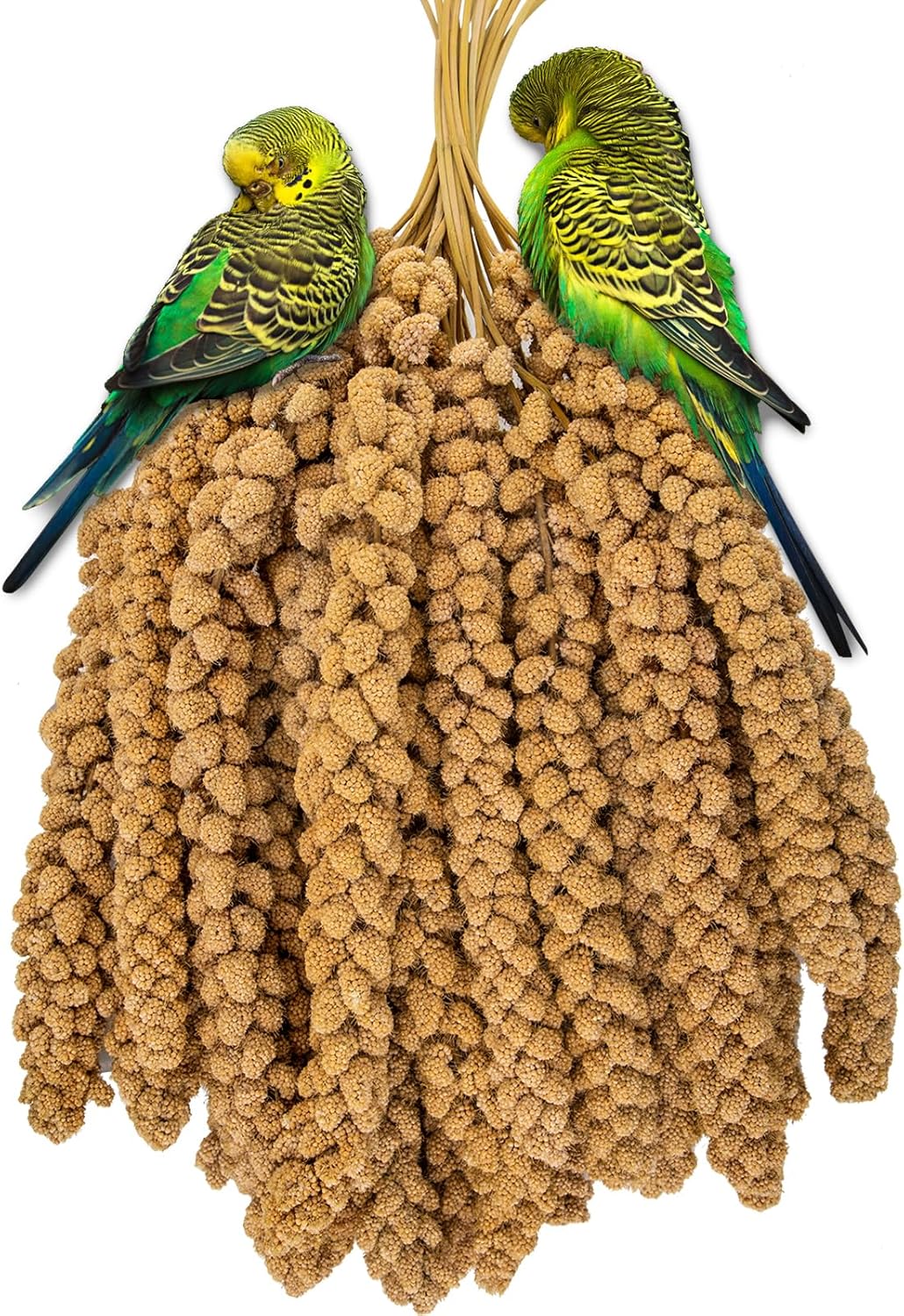 RANZ 5LBS Millet Spray for Birds, GMO-Free, Sun Dried Spray Millet, Original Bird Treats &