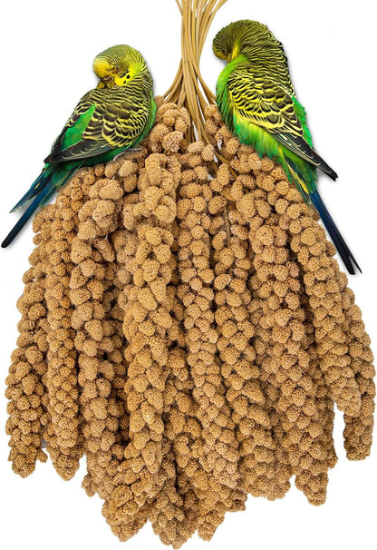 RANZ 5LBS Millet Spray for Birds, GMO-Free, Sun Dried Spray Millet, Original Bird Treats &