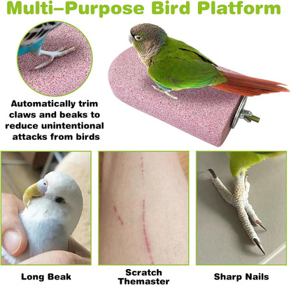 PINVNBY 3 PCS Bird Perches Calcium Parrot Perch Stand Bird Beak Grinding Stone Foot Claws Trimmer