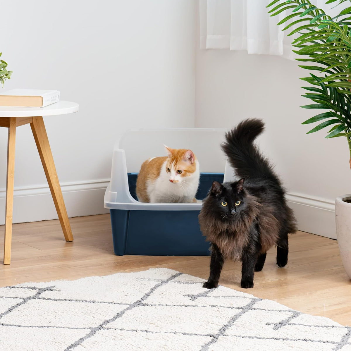 IRIS USA XX-Large Cat Litter Box, Open Top Extra Large Litter Box for Big Cats and Multi-Cat