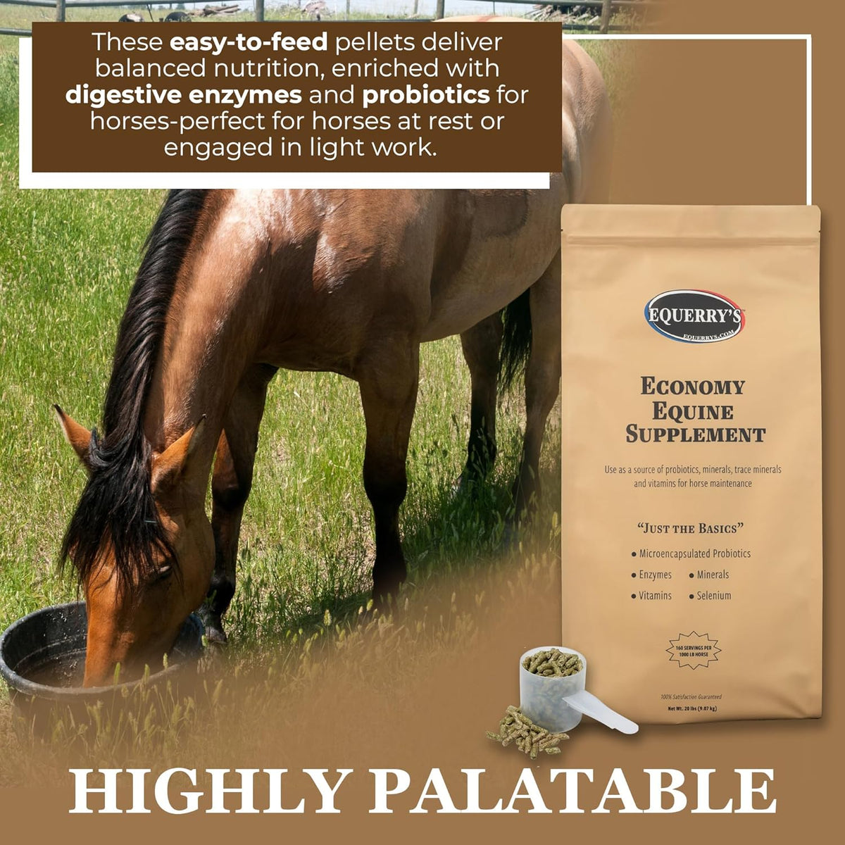 Equerry's Economy Equine Supplement - Horse Probiotics | Supplement for Horses | Horse Vitamins and