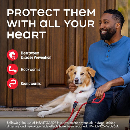 HEARTGARD® Plus (ivermectin/pyrantel) Real-Beef Chewables for Dogs 51 -100 lbs (Brown Box) 12 Month