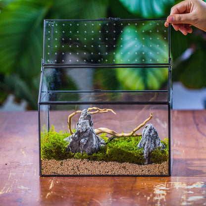 NCYP House Shape Glass Terrarium with Acrylic Lid - 10.2x5.9x8.2 Inches Large Geometric Box for