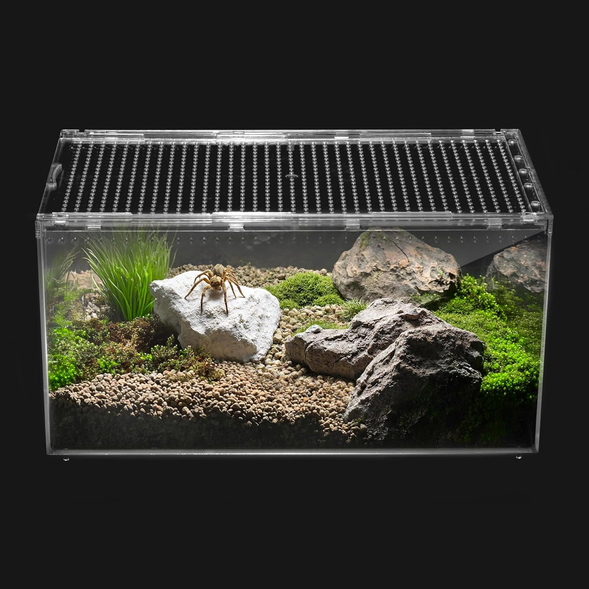 Reptile PC Terrarium,Spider Tank Starter Kit, Leopard Gecko Container,Tarantula Cage, Hermit Crab