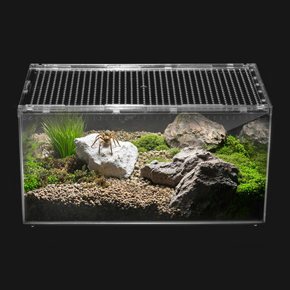 Reptile PC Terrarium,Spider Tank Starter Kit,Leopard Gecko Container,Tarantula Cage,Hermit Crab