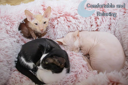 XxingSheep 4 Cave Shuttled XL Cat Tunnel Bed for Indoor Cats Peekaboo Toy Donut with Warm Mat