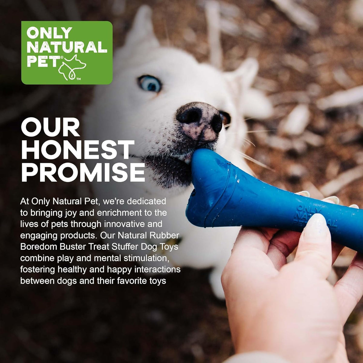 Only Natural Pet Rubber Boredom Buster Treat Stuffer Dog Toys - Interactive Stuffable Feeder