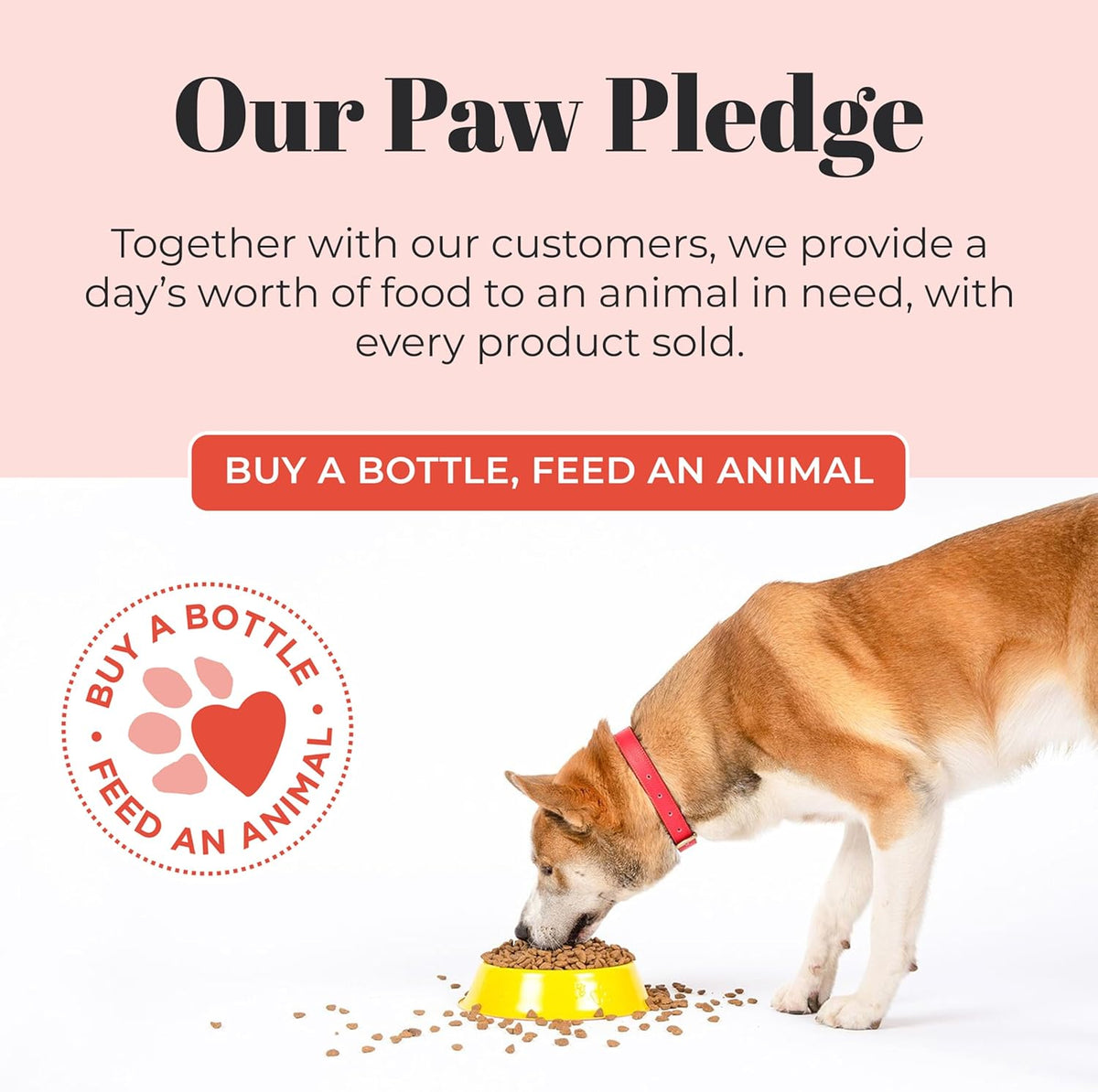 Skout's Honor Probiotic Dog Shampoo & Conditioner with Avocado Oil & Omega-3s, 97% Natural, Paraben
