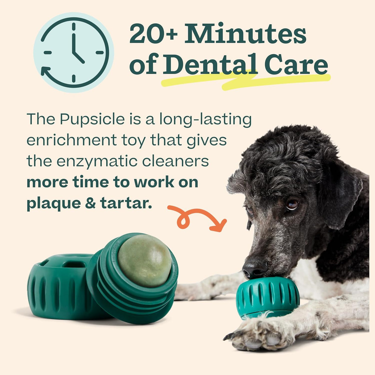 WOOF Dental Kit- Includes Pupsicle Dog Toy, Treat Tray, Shaker Bottle, Chicken Pupsicle Pops, and
