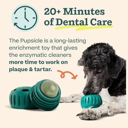 WOOF Dental Kit- Includes Pupsicle Dog Toy, Treat Tray, Shaker Bottle, Chicken Pupsicle Pops, and