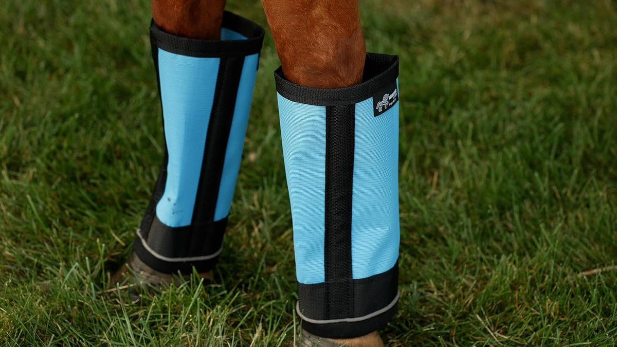 Warrior Fly Boots for Horses - Breathable Mesh Horse Boots for Fly Protection & Leg Comfort - Set