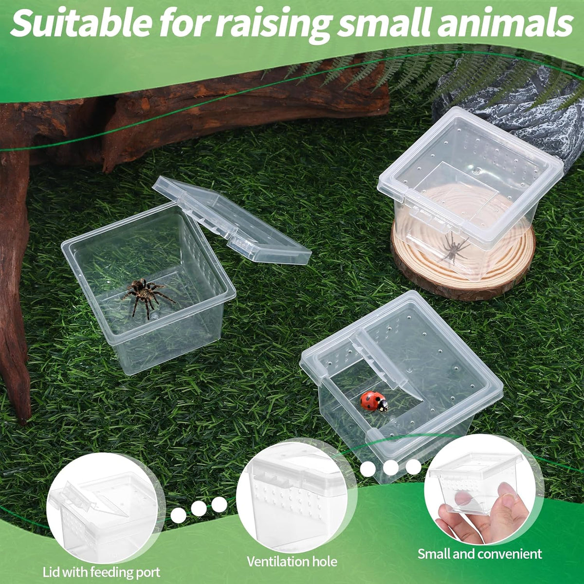 10Pcs Plastic Critter Keeper,Transparent Cricket Keeper for Reptiles,Mini Reptile Feeding Box Kids