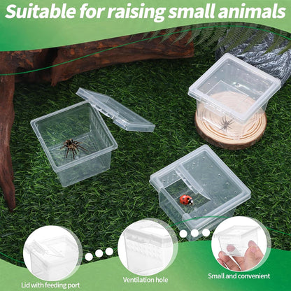 10Pcs Plastic Critter Keeper,Transparent Cricket Keeper for Reptiles,Mini Reptile Feeding Box Kids