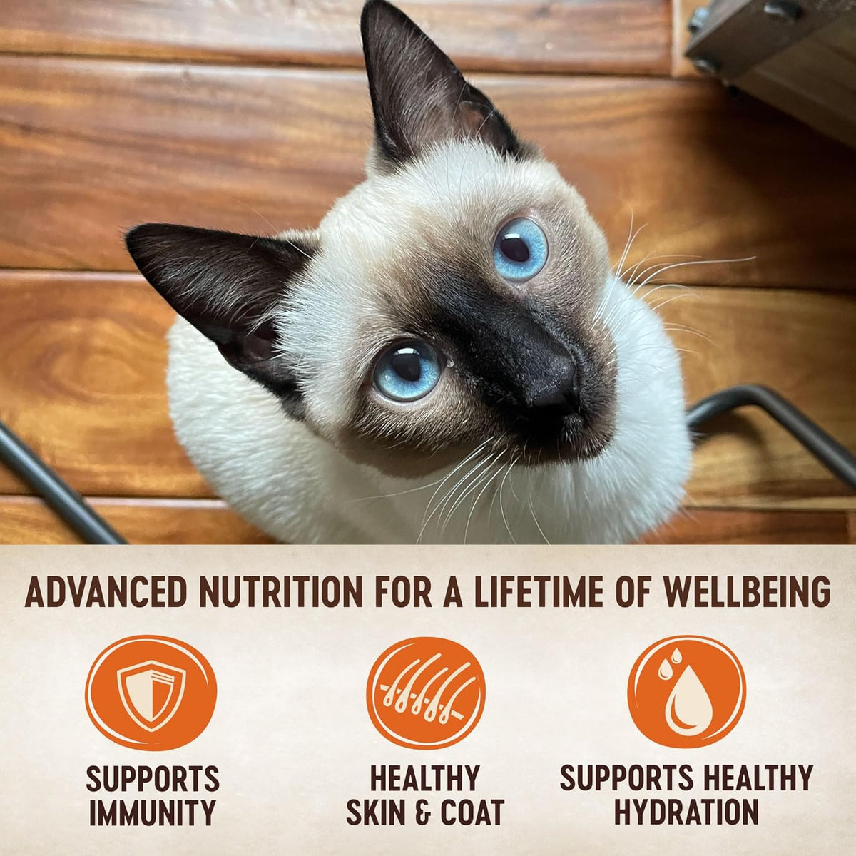 Wellness CORE Tiny Tasters Pate Adult Wet Cat Food, Natural, Protein-Rich, Grain Free, 1.75-Ounce