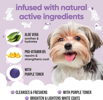 White Dog Shampoo by Buddycare (33.8oz) | Brightening and Whitening Shampoo for Dogs | Deep