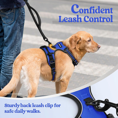 rabbitgoo Dog Harness No Pull with 2 Leash Clips, Adjustable Soft Padded, Reflective Oxford No