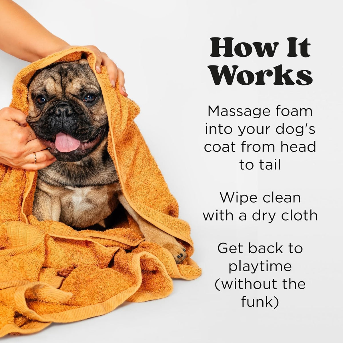 Poo-Pourri Rinse-Free Deodorizing Dry Shampoo for Dogs & Cats – Moisturizing Skin & Coat Soothing