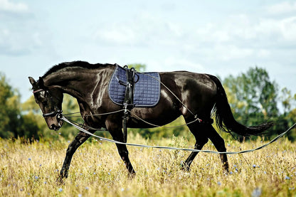 Soft Padded Lunge Line Rein Lead for Horses 27ft Looped Handle Swivel Clip (Navy/Green)