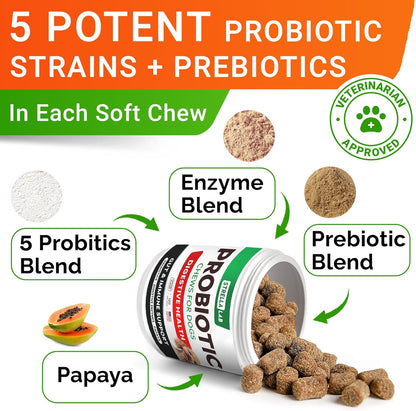 STRELLALAB Pet Probiotics for Dogs & Digestive Enzymes + Digestion & Gut Health Treats, Dog
