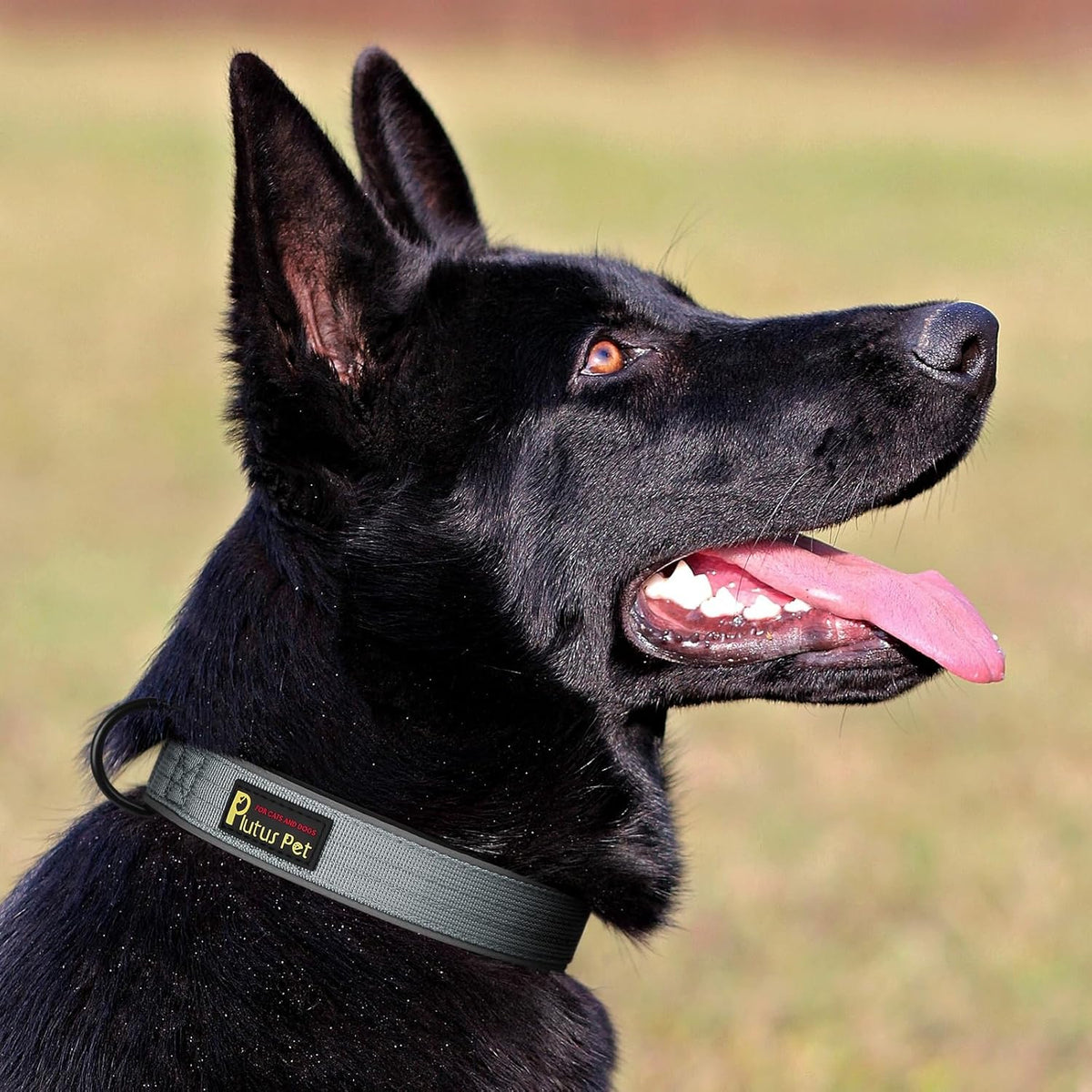 Plutus Pet Tactical Dog Collar, Reflective, Adjustable Heavy Duty Dog Collar, Soft Padded and