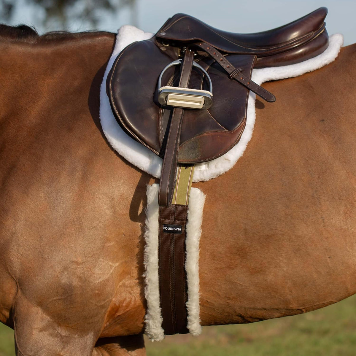 Equinavia Eidsvoll Close Contact English Saddle Pad | Horse Saddle Pad with Shock Absorbing Fleece