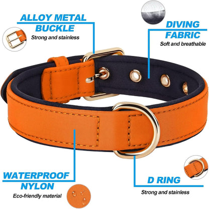 Didog Soft Padded Dog Collars for Small Dogs, Lightweight and Breathable Dog Collar with Metal