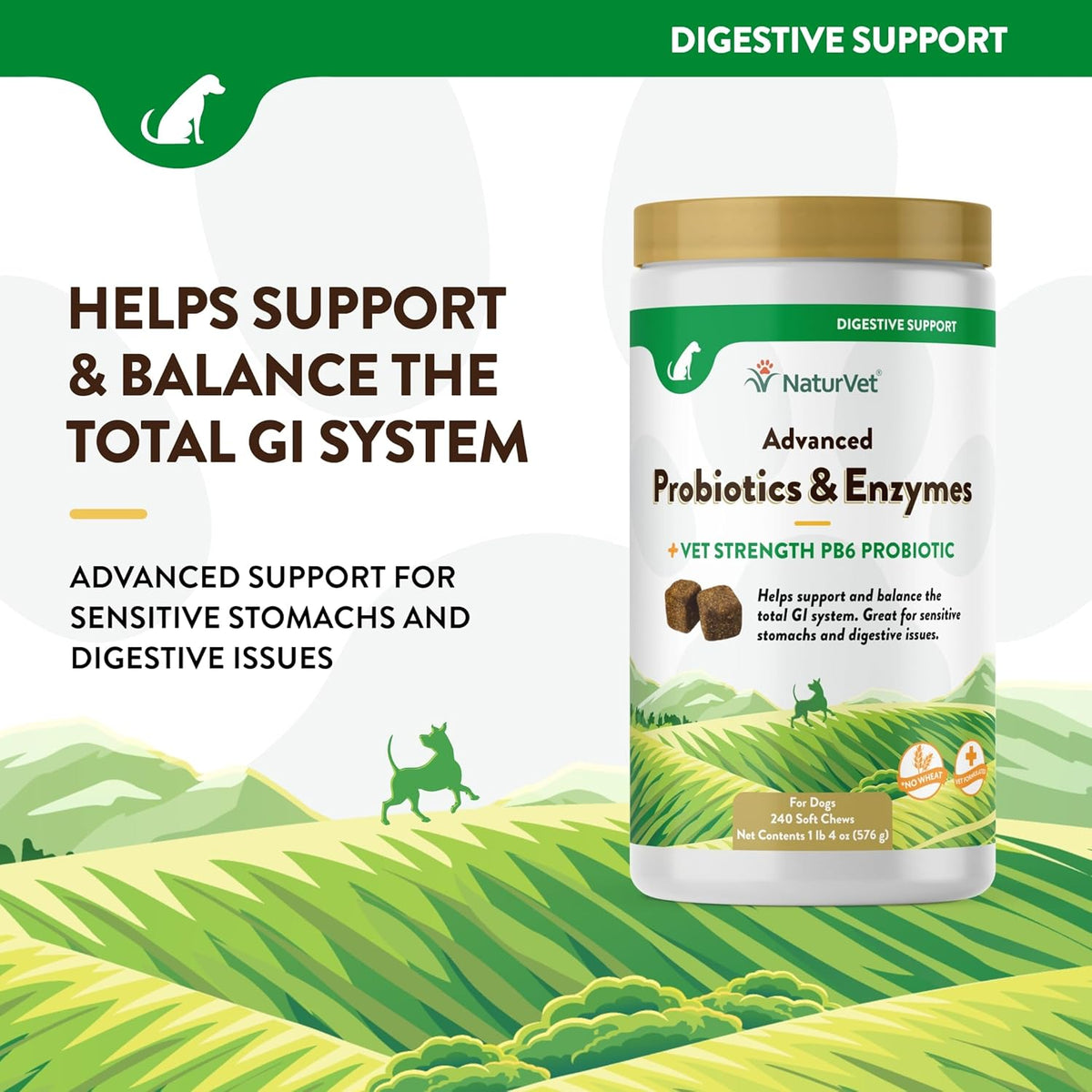 NaturVet Advanced Probiotics & Enzymes, PB6 Dog Soft Chews to Help Sensitive Stomachs and Digestive