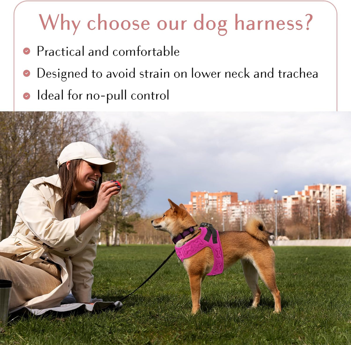 Comfort Fit Dog Harness Soft Padded No Pull Harness with Adjustable Buckles for Small Medium Large