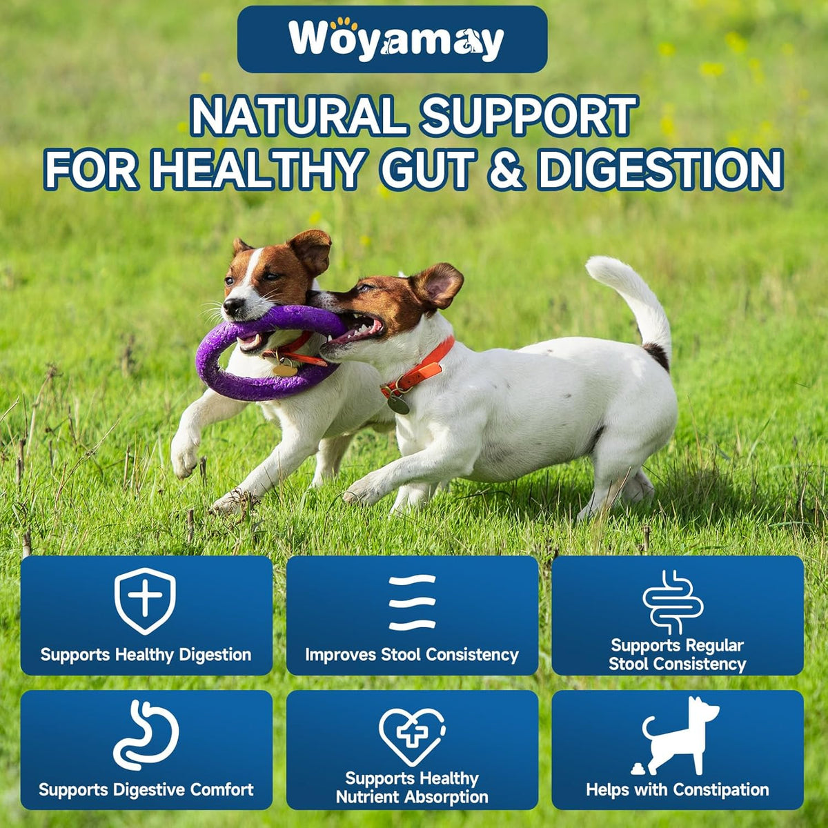 Dog Probiotic for Dogs, 200 Soft Treats Dog Probiotics for Digestive Health & Immune System
