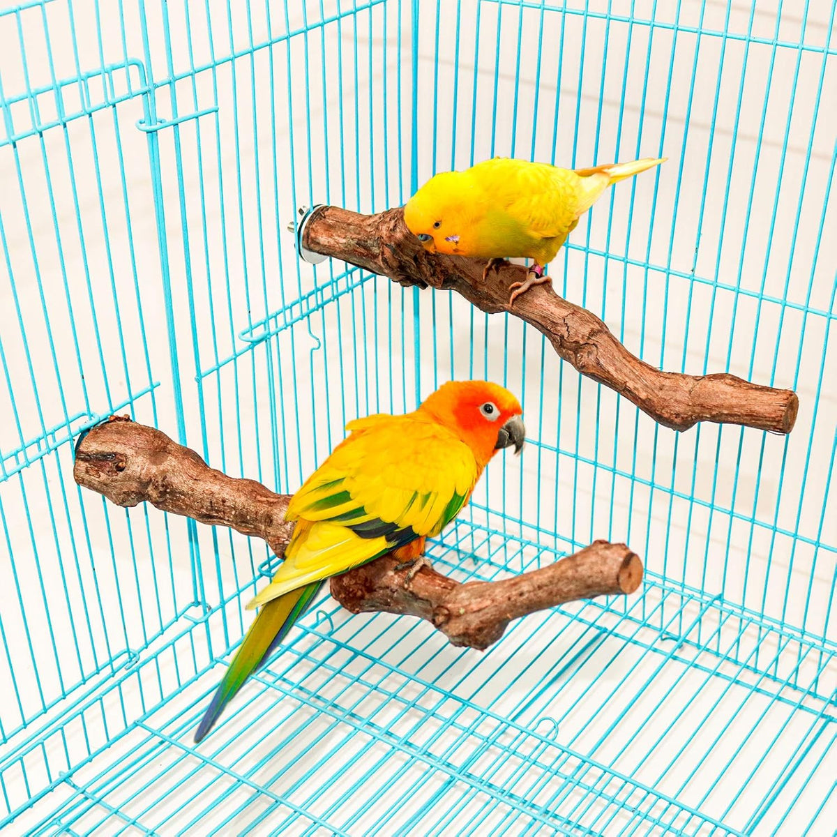 2 Packs Parrot Perch Stand,Natural Grapevine Wood Perch Parrots Cage Perch Toys Suitable for Small