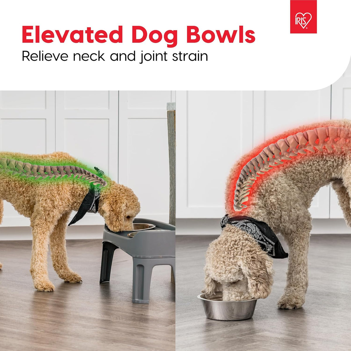 IRIS USA Elevated Dog Bowls, Adjustable Height, 2 Thick 64 oz Stainless Steel Bowls, Spill-Proof