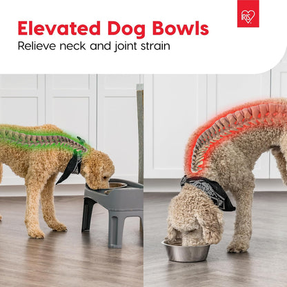 IRIS USA Elevated Dog Bowls, Adjustable Height, 2 Thick 64 oz Stainless Steel Bowls, Spill-Proof