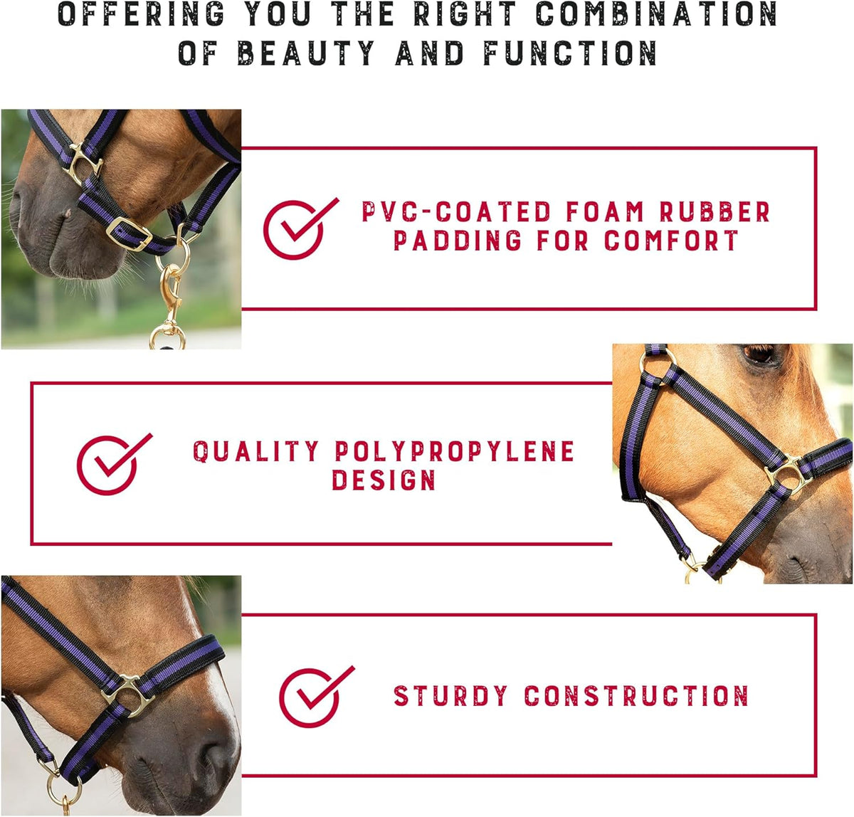Weaver Equine Breakaway Horse Halter, Comfort Foam Padding, Adjustable Chin & Throat Snap Halters