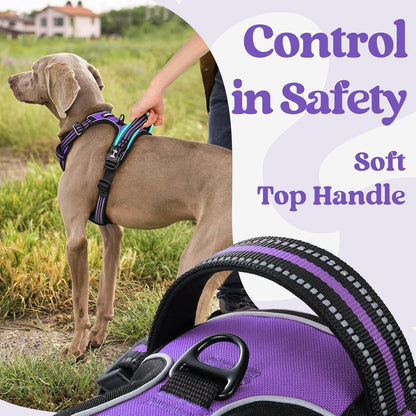 rabbitgoo Dog Harness Small Sized, No Pull Pet Harness with 3 Buckles, Adjustable Soft Padded Vest