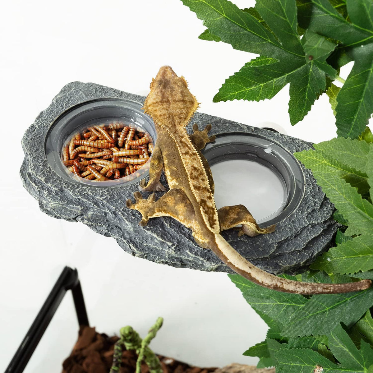 REPTIZOO Reptile Magnetic Feeder Ledge, Double Bowl Reptile Food Dish with 6PCS Feeding Cups Food