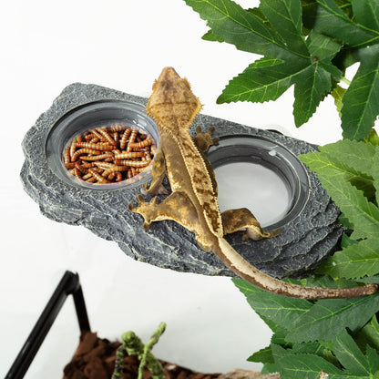 REPTIZOO Reptile Magnetic Feeder Ledge, Double Bowl Reptile Food Dish with 6PCS Feeding Cups Food