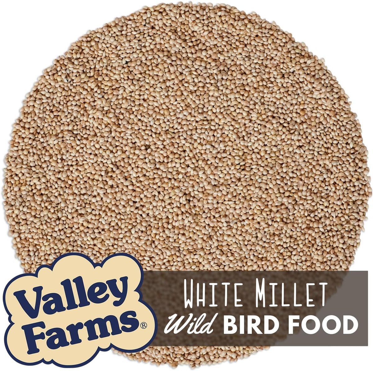 Valley Farms White Millet Wild Bird Seed 5 LB 2-Pack (10 LB Total) for Outside feeders, White proso