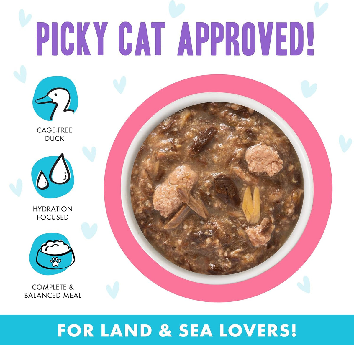 Weruva B.F.F. OMG - Best Feline Friend Oh My Gravy!, Date Nite! with Duck & Salmon in Gravy Cat