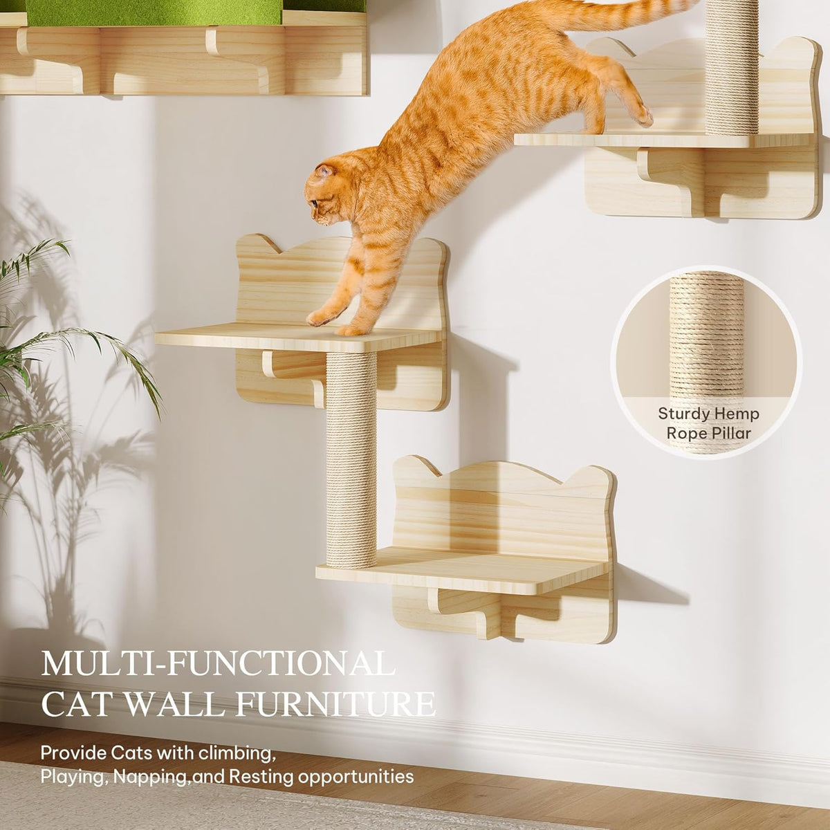 Cat Wall Shelves and Perches, Solid Wood Wall Cat Furniture, Set of 7 Feline Climbing Shelves with