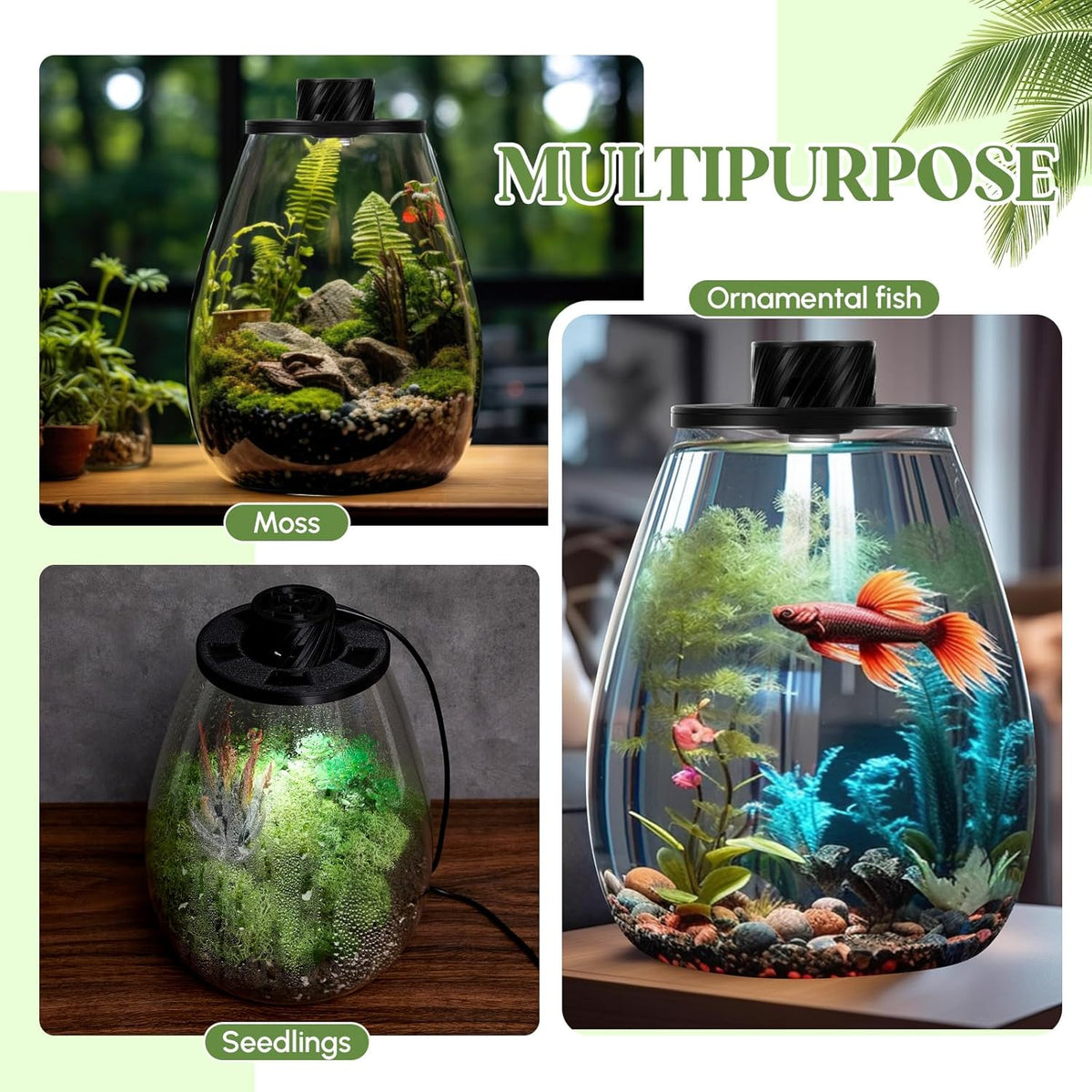 Maxdot Glass Plant Terrarium Kit with Light for Succulent, Moss, Miniature Gardening Landscape