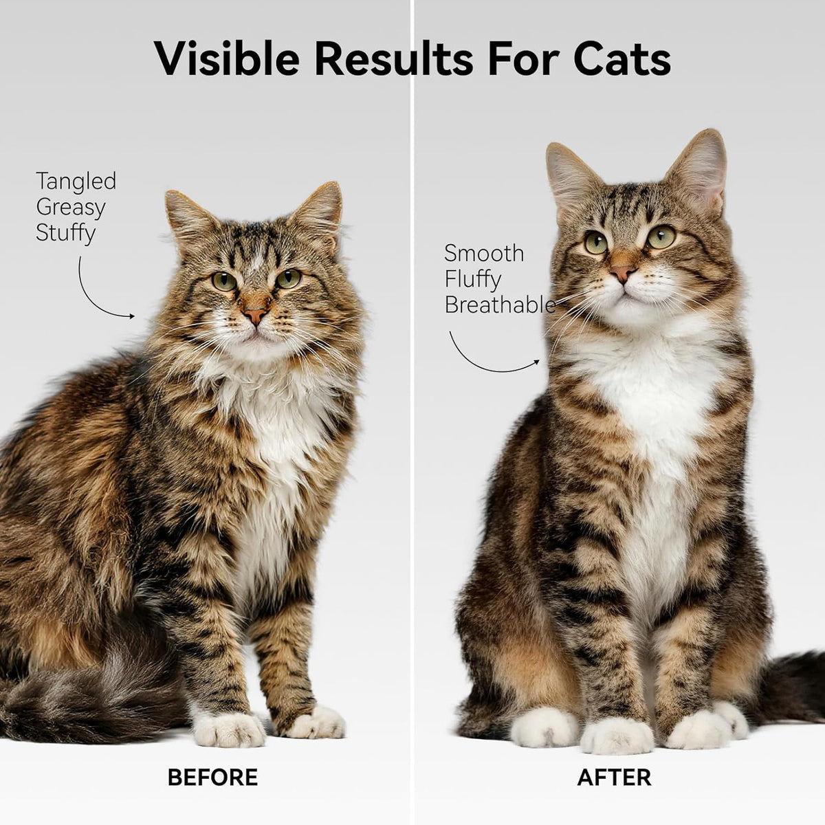 aumuca Undercoat Rake for Cats & Small/Medium Dogs – Deshedding Brush & Dematting Comb for