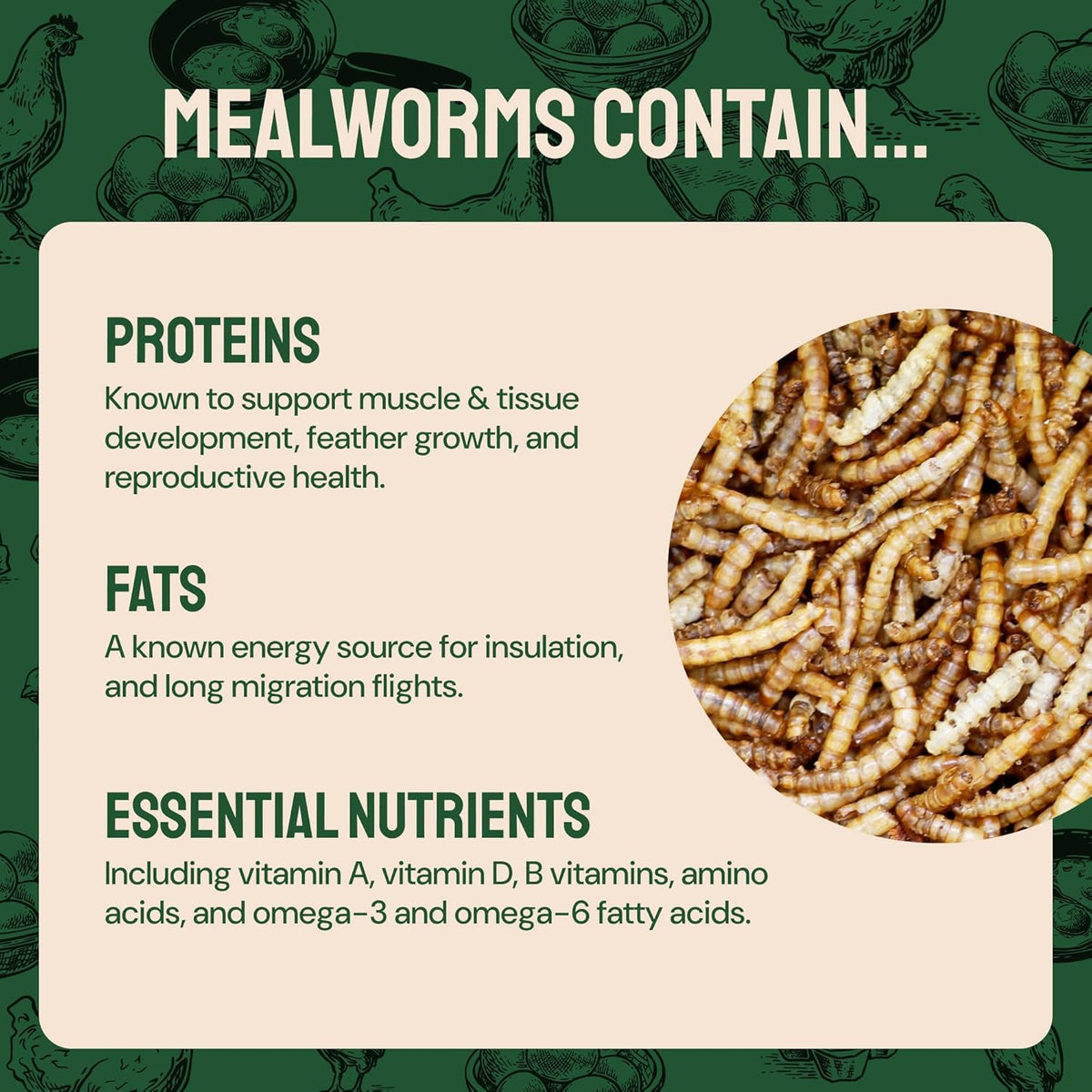 Dried Mealworms - 2 Lb Bag - High Protein Chicken Feed, Mealworms for Birds & Chickens - Meal Worms