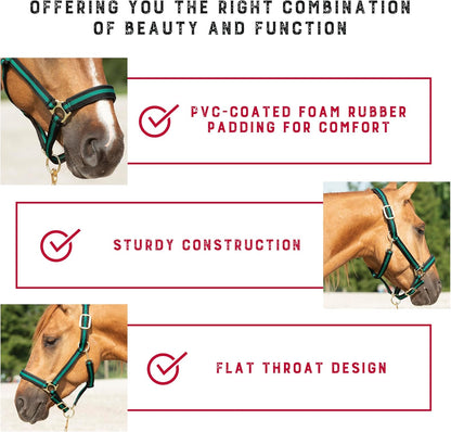 Weaver Leather Nylon Horse Halter, Padded and Adjustable, Chin and Throat Snap Hook Halters for